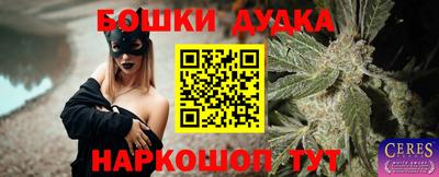 apvp Нальчик