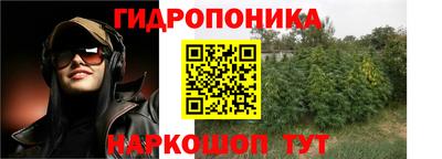apvp Нальчик