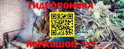 прущие крисы Можайск