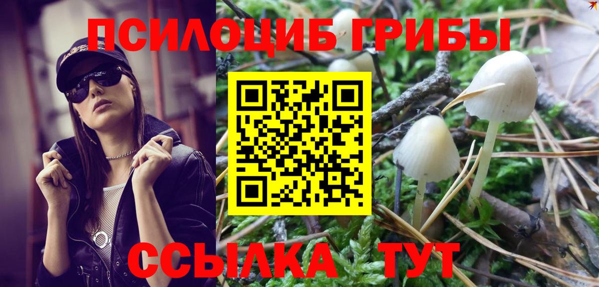Псилоцибиновые грибы мицелий Бирск