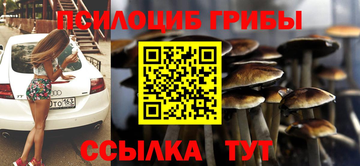 Галлюциногенные грибы Cubensis  где можно купить   Псилоцибиновые грибы Cubensis  Бирск  Вход с VPN 