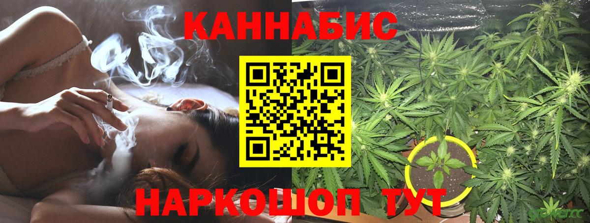 Конопля гибрид Бирск
